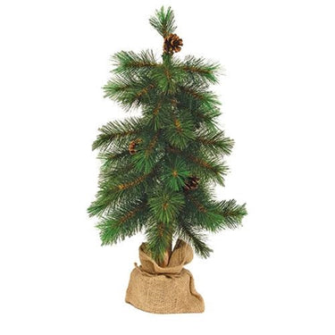 Royal Oregon Pine Tree With Burlap Base, 24